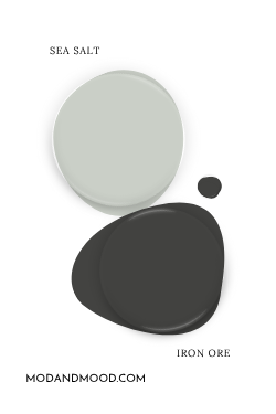 Paint dot swatch of Sherwin Williams Sea Salt with the same of coordinating Color Iron Ore.