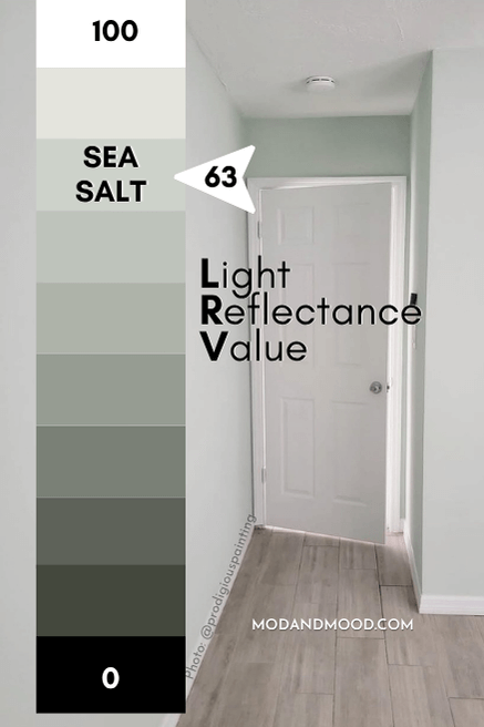 Sherwin Williams Sea Salt marked at 63 on a scale of 0 (true black) to 100 (pure white) over a background of Sea Salt on a wall in a bedroom with white door and trim.