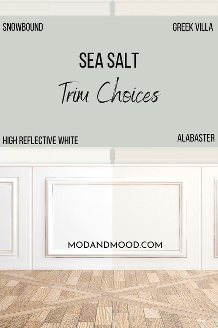 Sea Salt with a variety of white trim options: Snowbound, Greek Villa, Alabaster, and High Reflective White.
