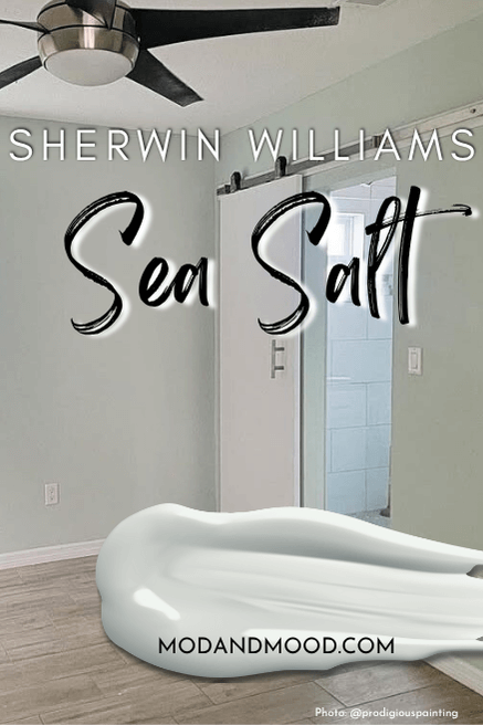 Sherwin Williams Sea Salt on walls in a bedroom with a white bathroom adjacent
