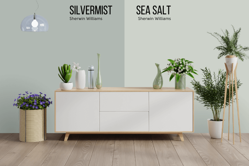 Silvermist vs Sea Salt on the wall