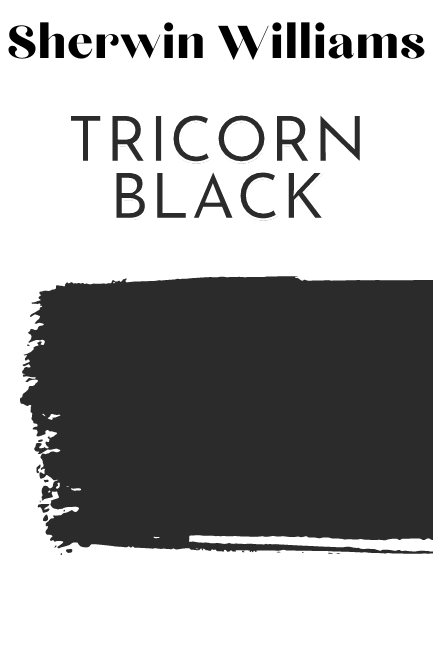 Tricorn Black swatch