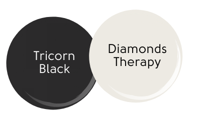 Swatch of Tricorn Black with Diamonds Therapy