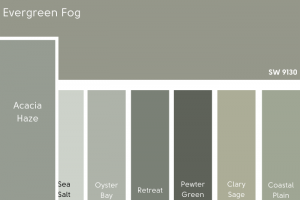 Acacia Haze Vs Evergreen Fog