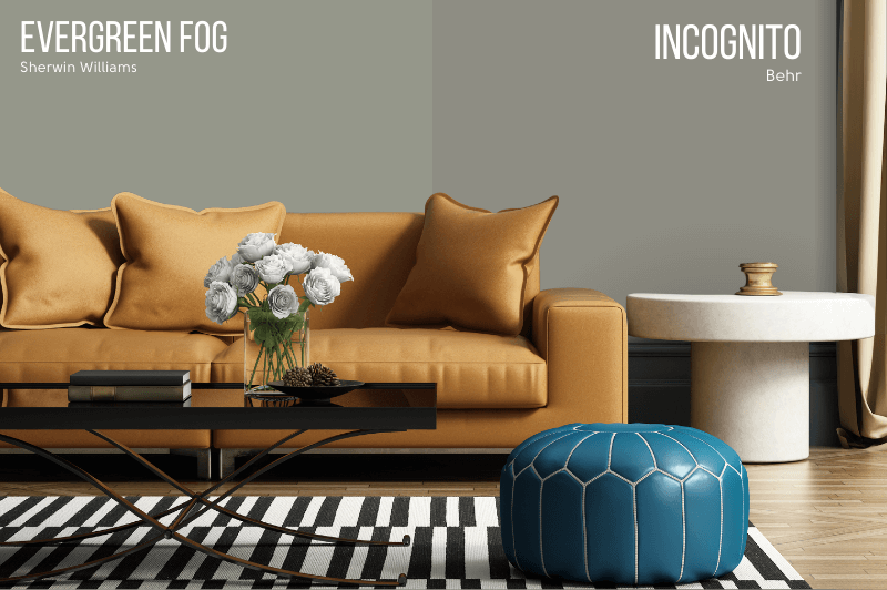 Behr Dupe incognito VS Evergreen Fog on the wall