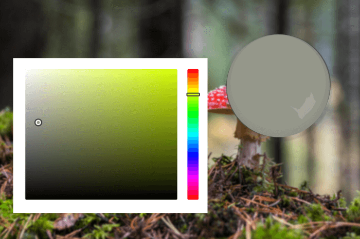 Evergreen Fog plotted on a hex chart over a background of a forest with mossy ground and a red mushroom