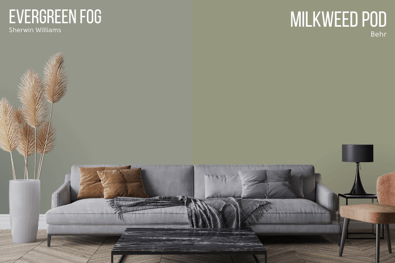 Behr dupe milkweed pod VS Evergreen Fog on the wall