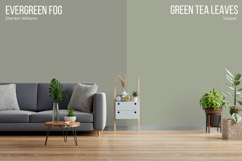 Valspar dupe Green Tea Leaves vs Evergreen Fog on the wall