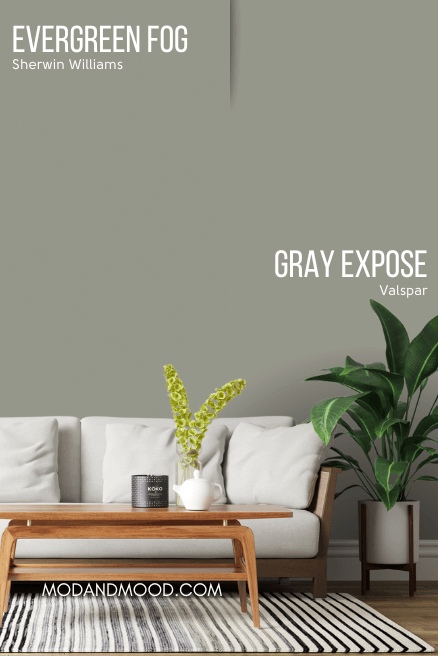 Valspar dupe Expose vs Evergreen Fog on the wall