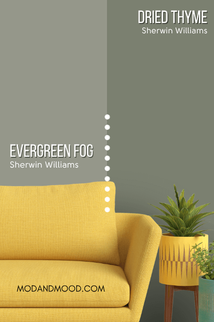 Sherwin Williams Evergreen Fog on half of a wall and Dried Thyme on the other half behind a mustard sofa