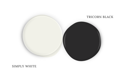 Benjamin Moore Simply White swatched as a paint dot beside coordinating color Sherwin Williams Tricorn Black