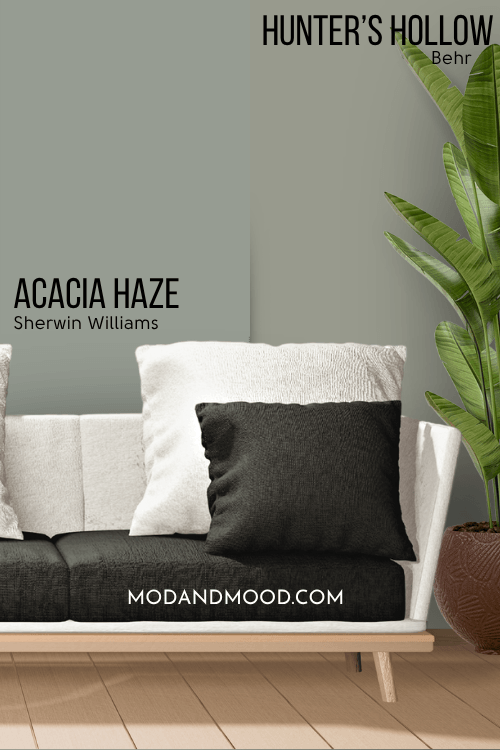 Acacia Haze equivalent Hunter's Hollow by Behr on half of a wall with acacia haze on the other half