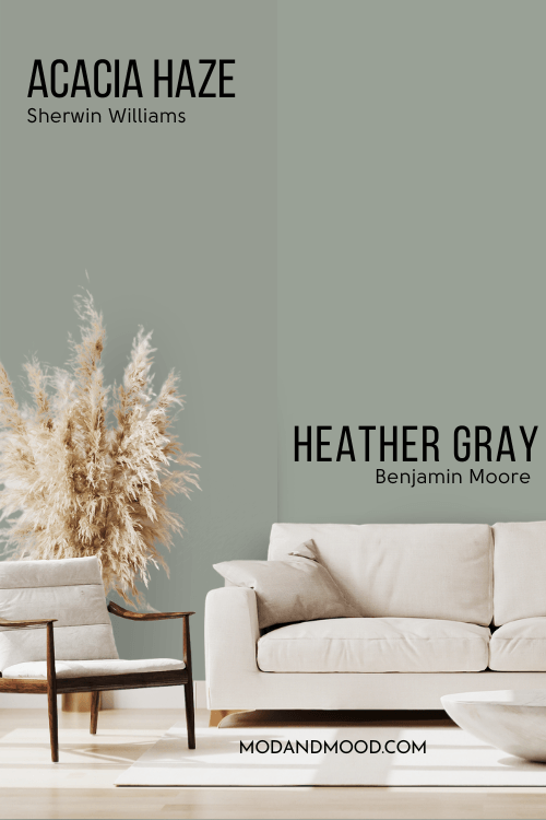 Acacia Haze equivalent Heather Gray by Benjamin Moore against acacia Haze on a wall with a cream colored sofa.
