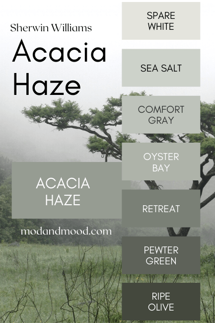 Acacia Haze color strip with other sherwin williams colors including Spare White, Sea Salt, Comfort Gray, Oyster Bay, Retreat, Pewter Green, and Ripe Olive