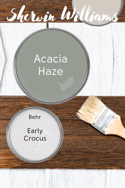 Paint can lid of acacia Haze above a paint can lid of a complementary color: Early Crocus by Behr.