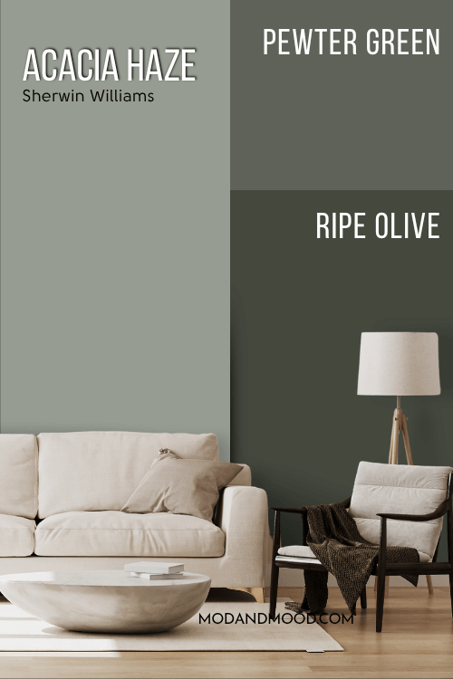 Sherwin Williams Acacia Haze on half of a wall and Pewter Green and Ripe Olive on the other half behind a beige sofa