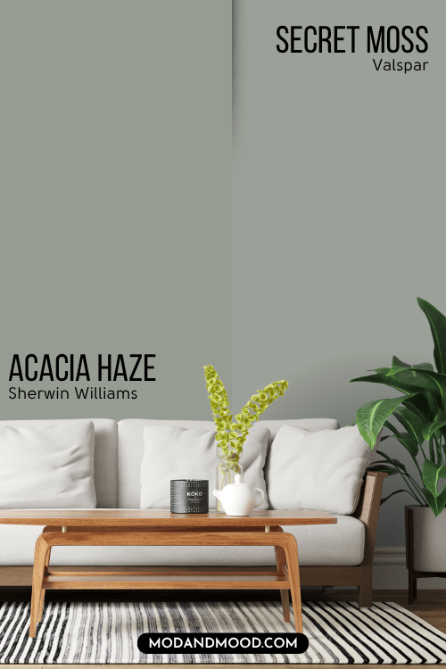 Acacia Haze Valspar equivalent Secret Moss and acacia haze each on half of a wall behind a white sofa