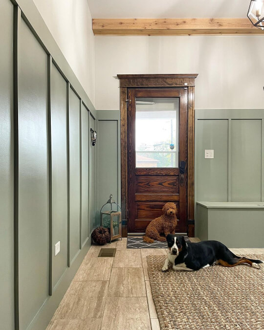 Creamy White walls in a mud room with Acacia Haze board and batten on lower half of the wall. Dark wood door with matching trim and two dog's looking towards the camera.