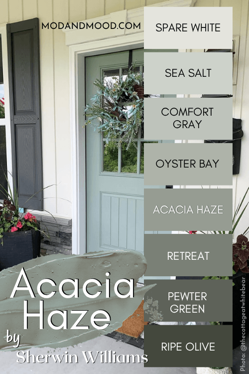 Acacia Haze color strip with other sherwin williams colors including Spare White, Sea Salt, Comfort Gray, Oyster Bay, Retreat, Pewter Green, and Ripe Olive over a door in acacia haze on a creamy white exterior.