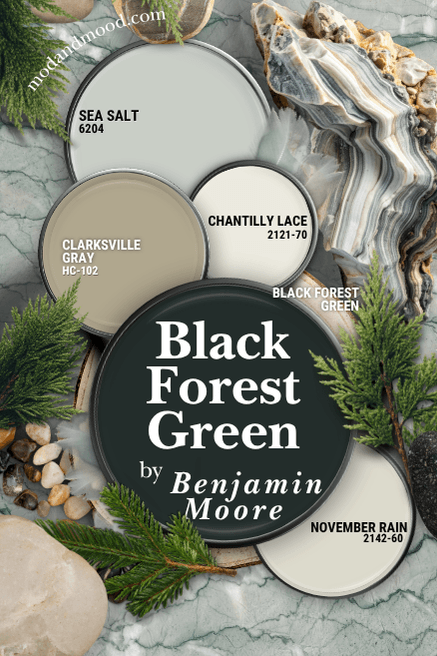 Black Forest Green color palette, featuring coordinating colors Clarksville Gray, November Rain. Chantilly Lace, and Sea Salt, over a background of green marbled stone scattered with rocks and greenery.