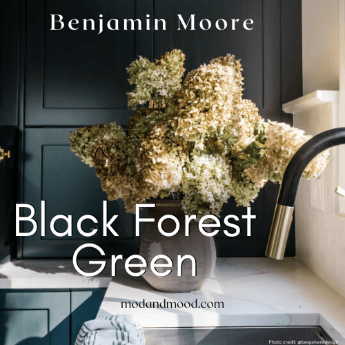 Benjamin Moore Black Forest Green on kitchen cabinets behind a vase of flowers.