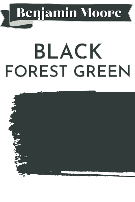 Paint Swipe swatch of Benjamin moore Black Forest Green