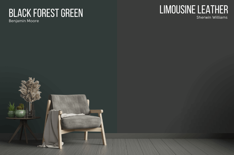 Black forest green on a wall beside limousine leather