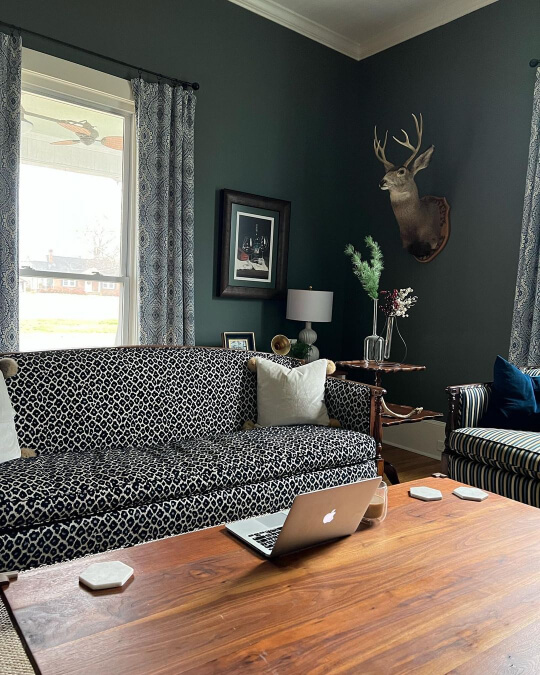 Homburg Gray living room walls with a leopard print couch, a wood coffee table, and a stag mount on the wall