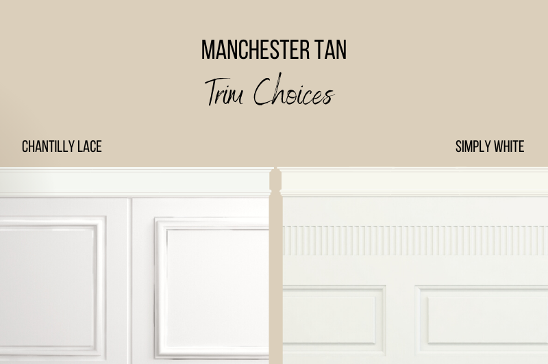 Manchester Tan with Chantilly Lace and Simply White Trim 