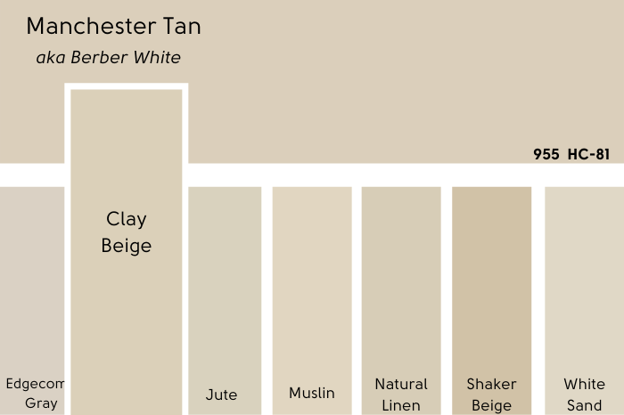 Benjamin Moore Clay Beige swatch compared to Manchester Tan on a card of many other tan beige swatches