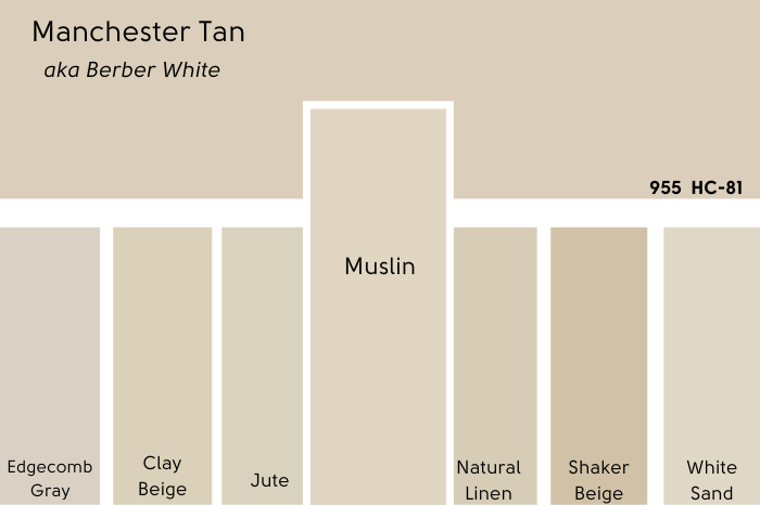 Benjamin Moore Muslin swatch compared to Manchester Tan on a card of many other tan beige swatches