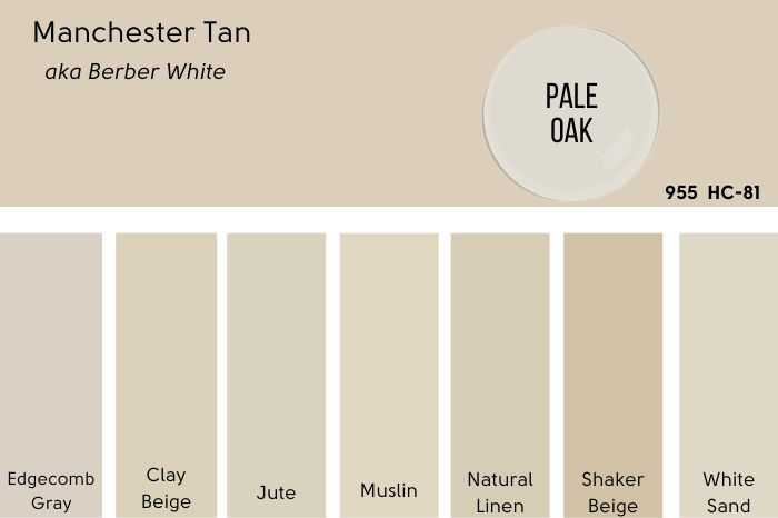 Benjamin Moore Pale Oak swatch compared to Manchester Tan on a card of many other tan beige swatches