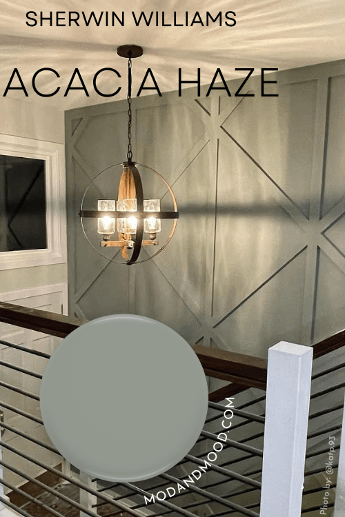 Acacia Haze swatched over a photo of the color on a wood feature wall.