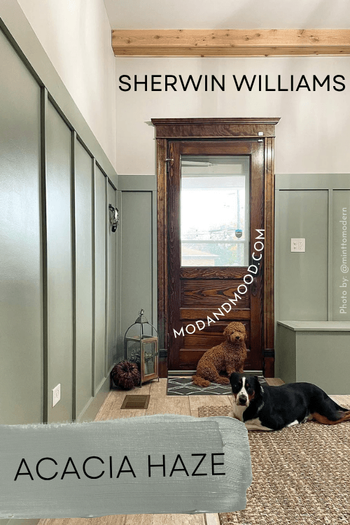 Sherwin Williams Acacia Haze on mudroom paneling with a swatch of the color over top.