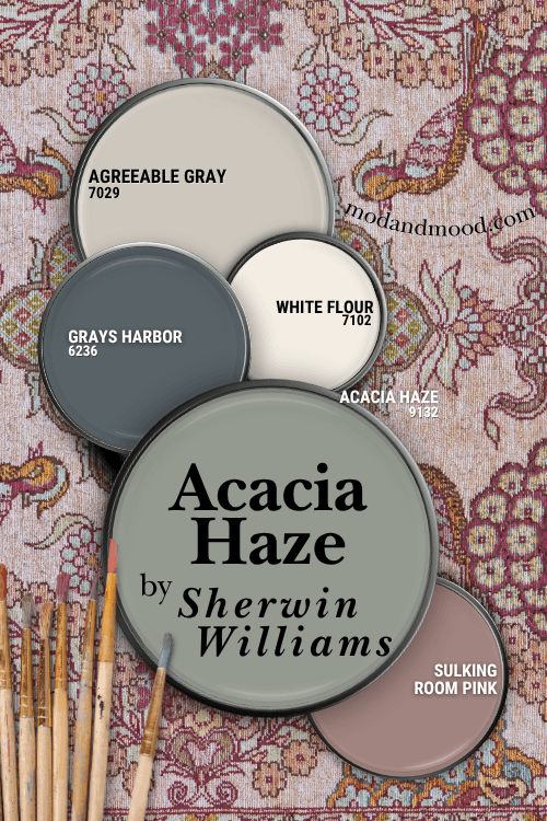 Sherwin Williams Acacia Haze Coordinating Color Palette, featuring Acacia Haze with Sulking Room Pink, White Flour, Hale Navy, and Agreeable Gray, over a background of a pink, burgundy, and green rug with small paintbrushes over top.
