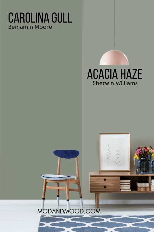 Acacia Haze on half of a wall and Carolina Gull on the other half.