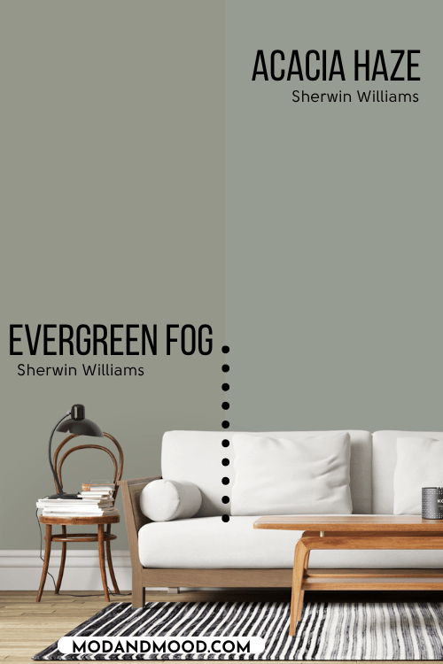 Acacia Haze on half of a wall and sherwin Williams evergreen fog on the other half behind a white sofa.