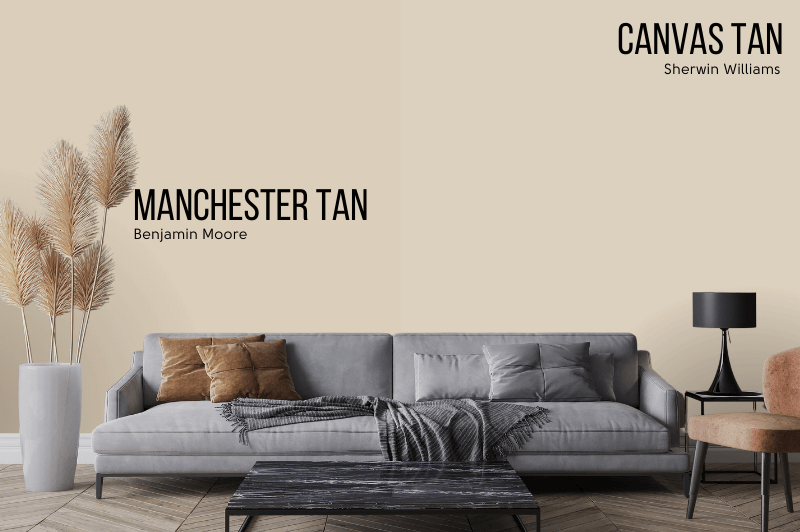 Sherwin Williams dupe for Manchester Tan - Canvas Tan on wall