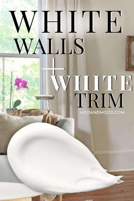 Graphic reads "White Walls and White Trim" with a swatch of white paint, over a background of white walls and trim in a room with a light blue sofa and an orchid in the window.