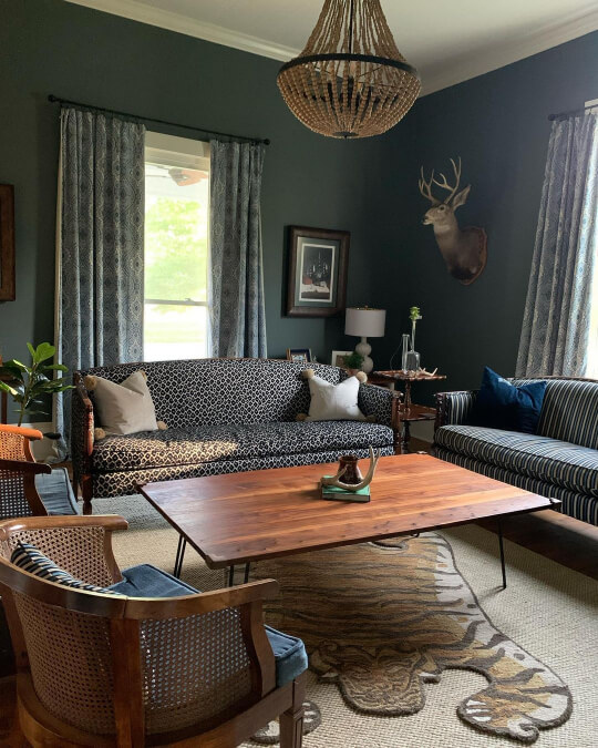 Wide shot of Homburg Gray in a dark academia living room with a leopard print couch, a wood coffee table, and a stag mount on the wall