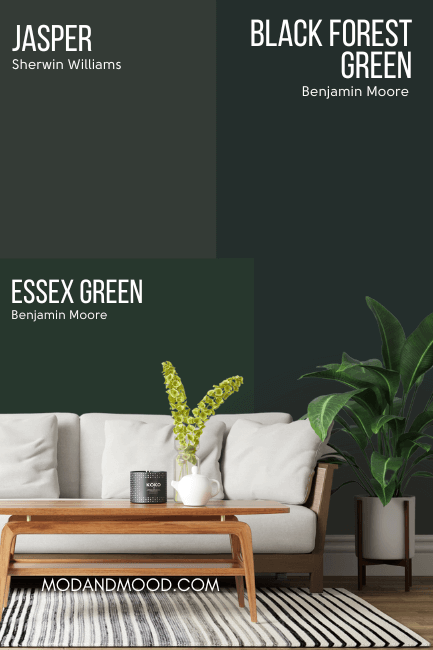 Benjamin Moore Black Forest Green and Essex Green swatched against sherwin williams Jasper.