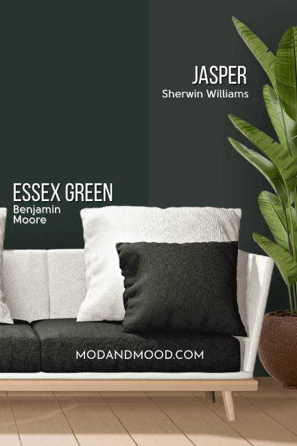 Sherwin Williams Jasper on half of a wall and Benjamin Moore Essex Green on the other half behind a white and black sofa.