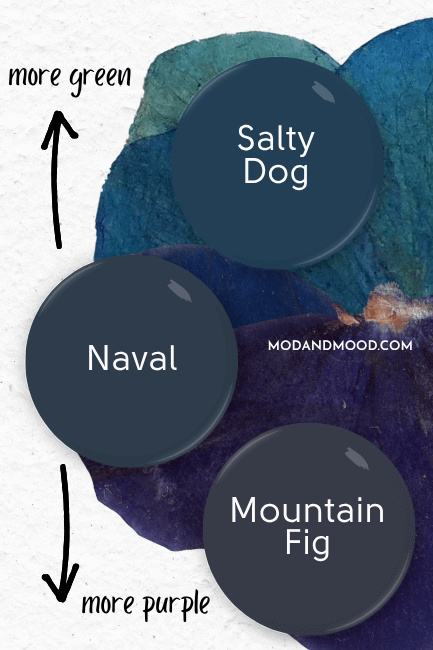 A scale of deep blue paint colors from more green to more purple. Colors swatched are Salty Dog, Naval, and Mountain Fig. Background is a pressed flower in shades of teal ombre into indigo.