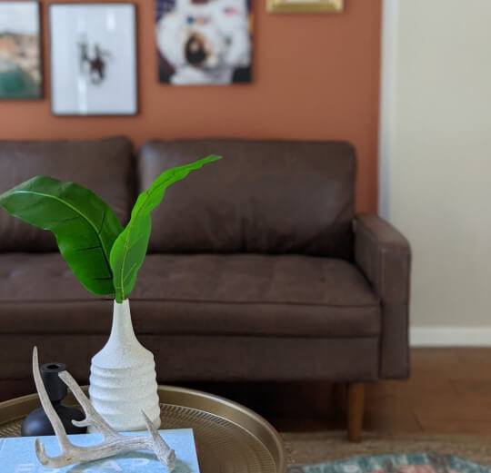 Close up of a plant on a coffee table in a living room in front of a Cavern Clay wall with a brown sofa