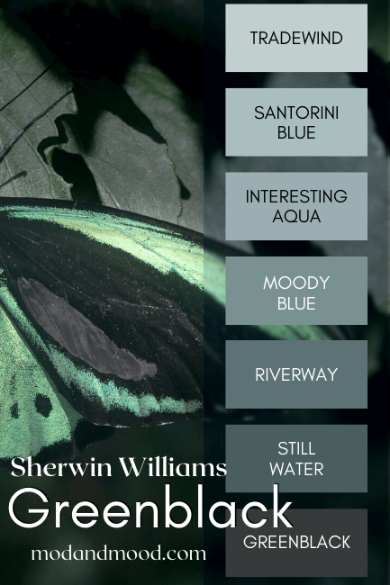 SW Greenblack color strip featuring still water, riverway, moody blue, interesting aqua, santorini blue, and tradewind