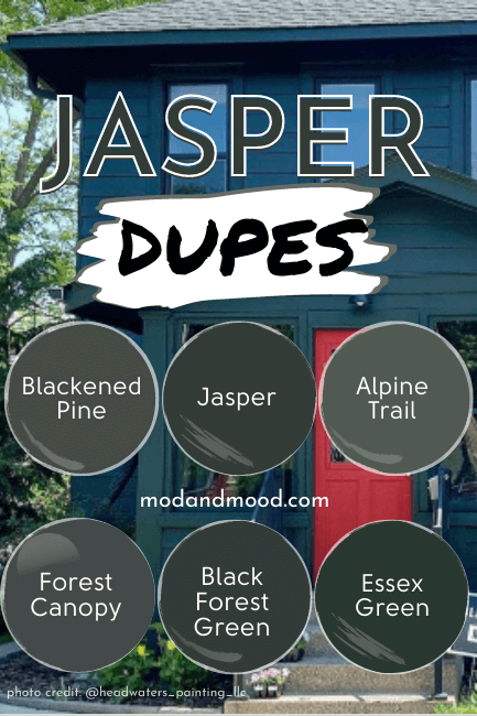 Jasper dupes as outlined in the article
