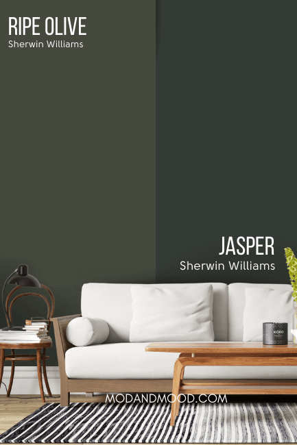 Jasper vs Ripe Olive on a wall behind a white sofa.