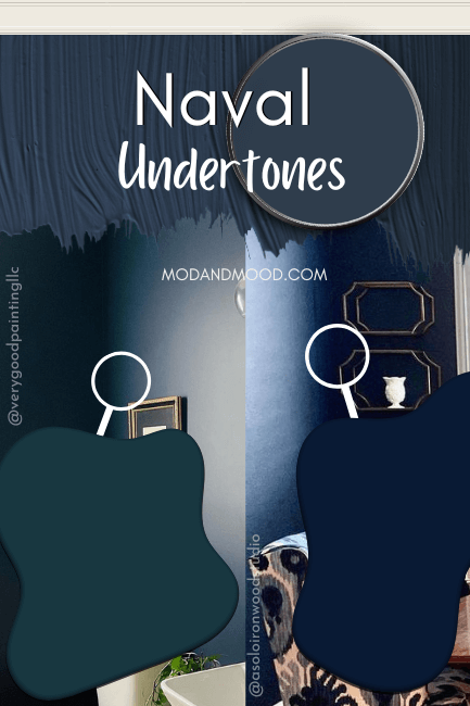Sherwin Williams Naval undertones. Magnifying glasses show undertones ranging from slightly blue green to royal blue, over photos of Naval in rooms with the different undertones.