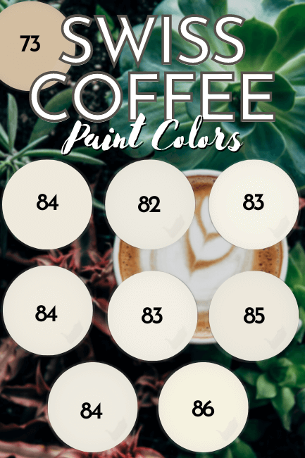 Swiss Coffee paint color swatches with only their LRV's marked on them, over a background of a latte on a table surrounded by plants