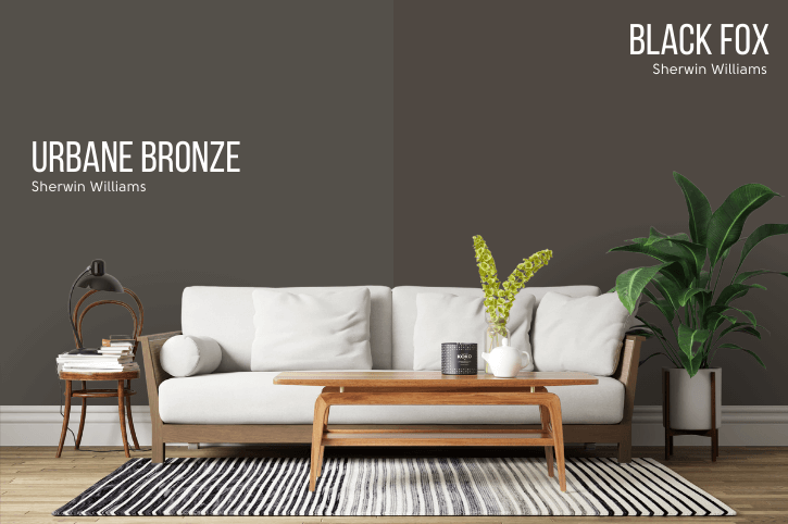 Urbane Bronze compared to black fox on a wall in a living room